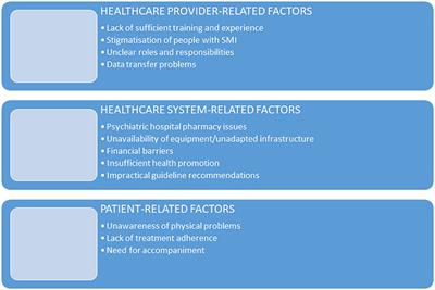 Barriers to Somatic Health Care for Persons With Severe Mental Illness in Belgium: A Qualitative Study of Patients' and Healthcare Professionals' Perspectives